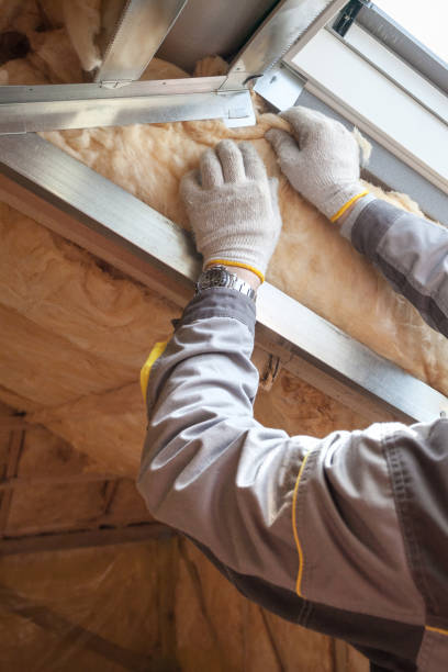 Best Specialized Insulation Services in Big Stone Gap, VA