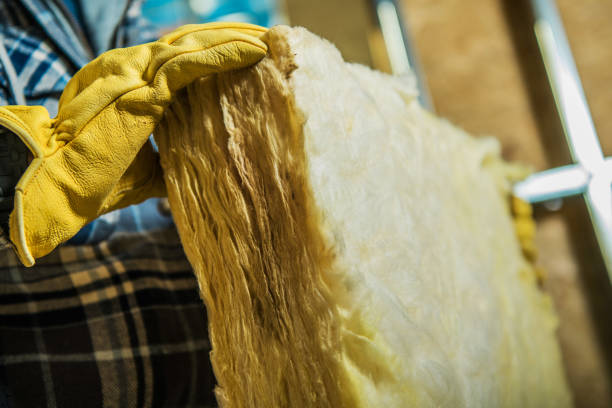 Best Cellulose Insulation in Big Stone Gap, VA