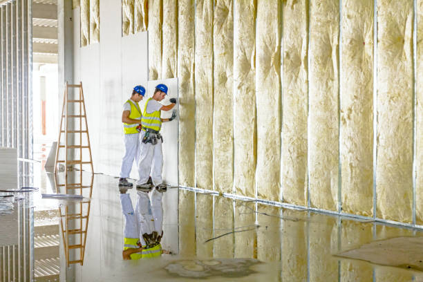 Best DIY Insulation Kits and Guidance in Big Stone Gap, VA